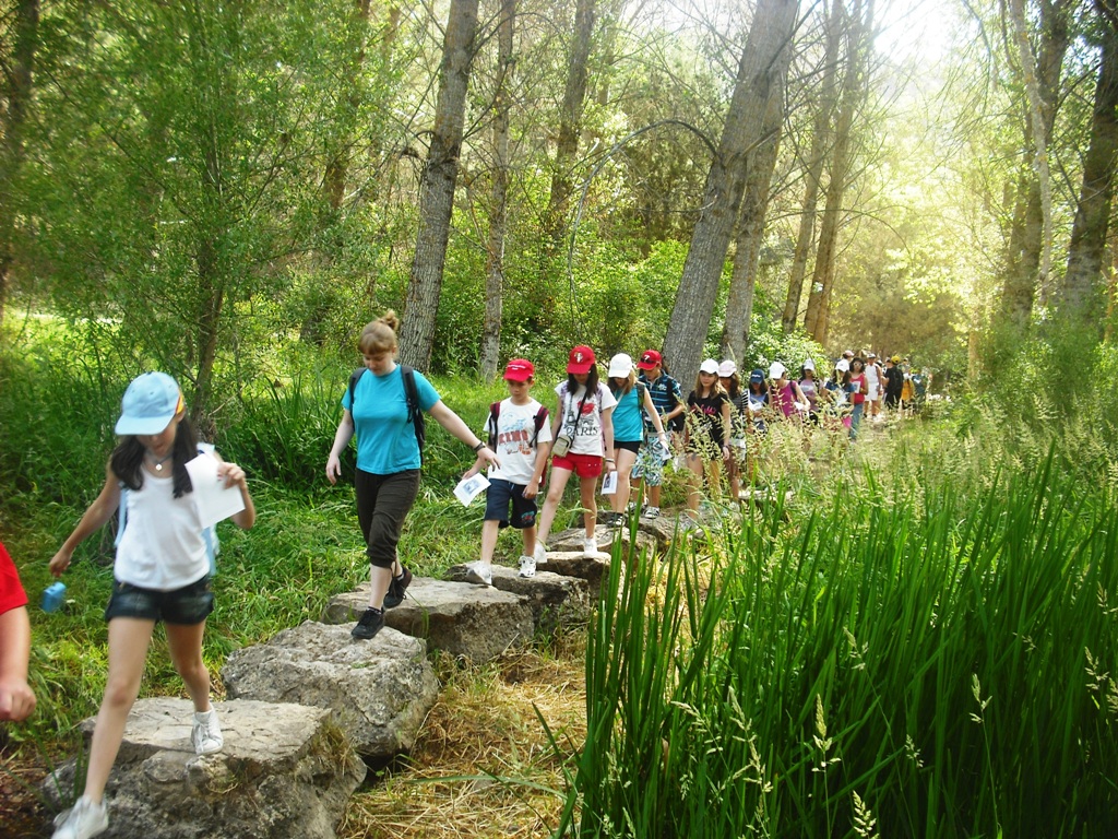 Caminatas ecológicas con colegios Awalí Colegios Salidas pedagógicas Caminatas ecológicas con colegios Awalí Colegios Salidas pedagógicas
