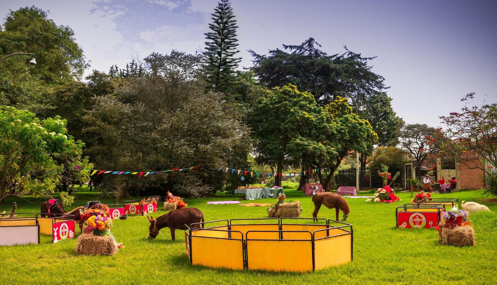 Granjas ecológicas cerca a Bogotá Awalí Colegios