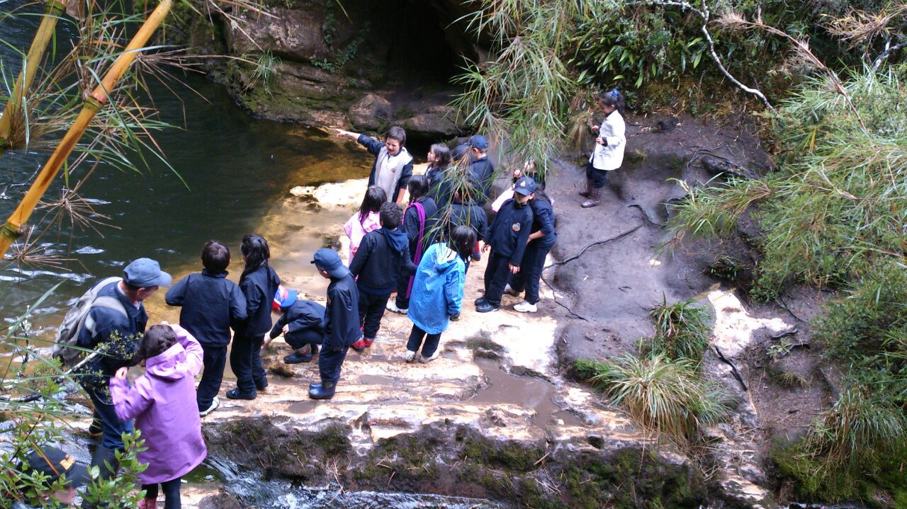 Nacimiento del río Bogotá - Caminatas ecológicas